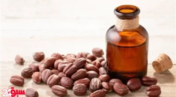 زيت الجوجوبا: خبراء يكشفون سره في علاج أصعب مشاكل الشعر نهائياً